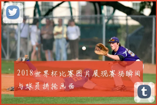 2018世界杯比赛图片展现赛场瞬间与球员拼抢画面
