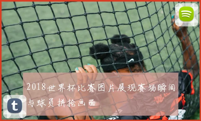 2018世界杯比赛图片展现赛场瞬间与球员拼抢画面